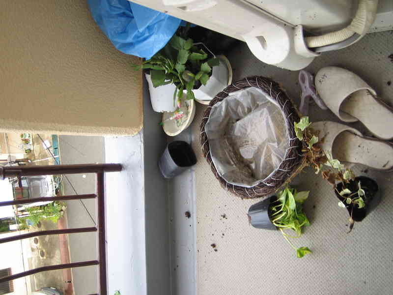 f:id:tomoya:20050707182437:image:w350