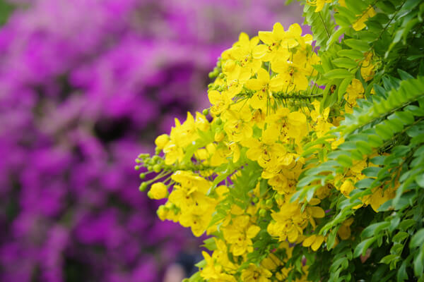 f:id:tomoya_rentry:20180517193720j:plain f:id:tomoya_rentry:20180517193720j:plain