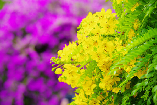 f:id:tomoya_rentry:20180517193800j:plain f:id:tomoya_rentry:20180517193800j:plain