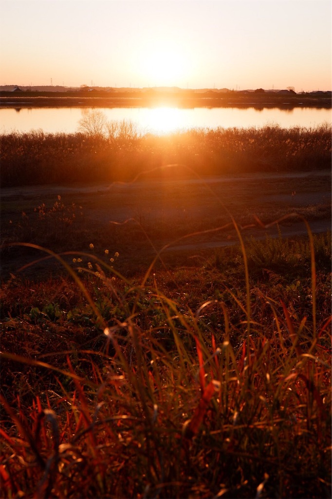 f:id:tomoyatori:20200106232851j:image f:id:tomoyatori:20200106232851j:image