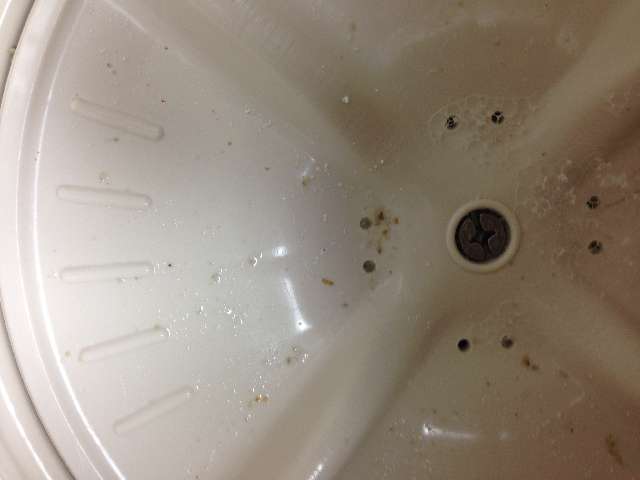 洗濯機を酸素系漂白剤を使って掃除する