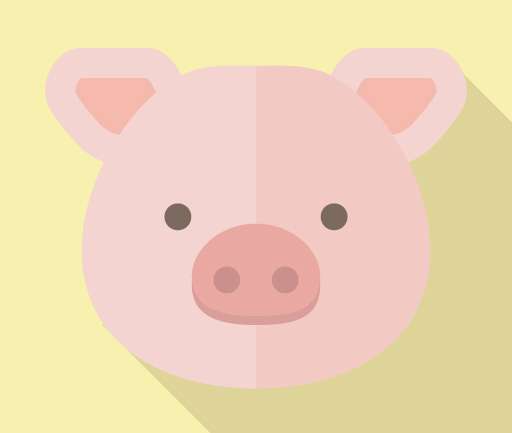 鶏肉と豚肉、牛肉の栄養の比較