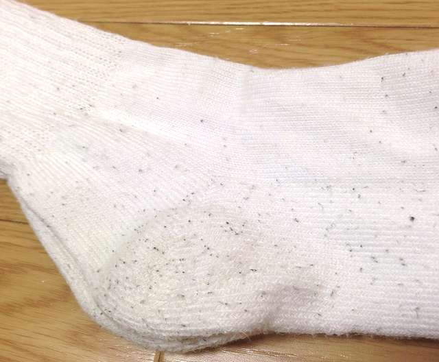 チャンピオンの靴下（白）を3足セット