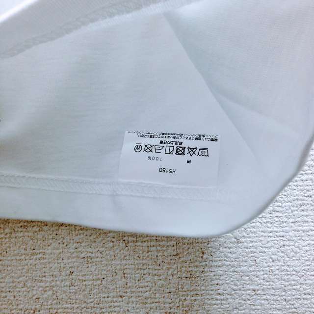 ヘインズのビーフィーT