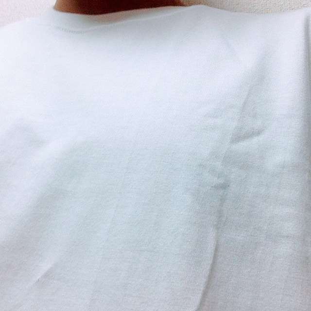 ヘインズのビーフィーT