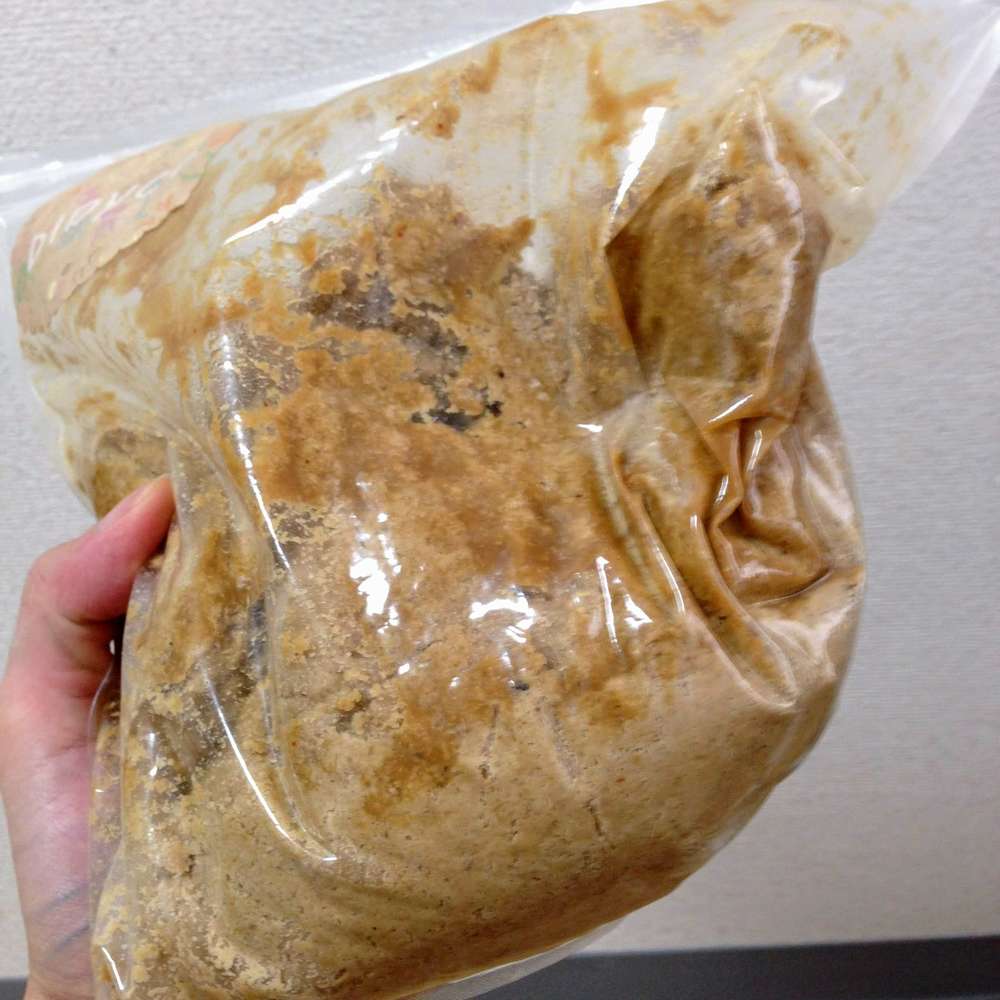 f:id:tomoyukitomoyuki:20180610181055j:plain