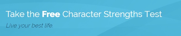 VIA-ISテストで自己診断のやりかた