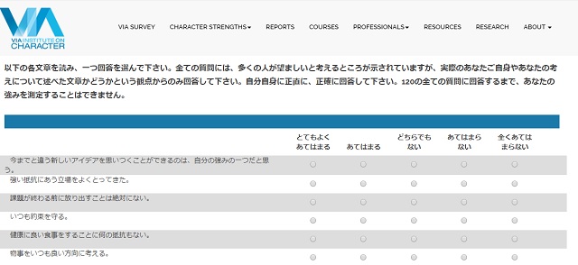 VIA-ISテストで自己診断のやりかた