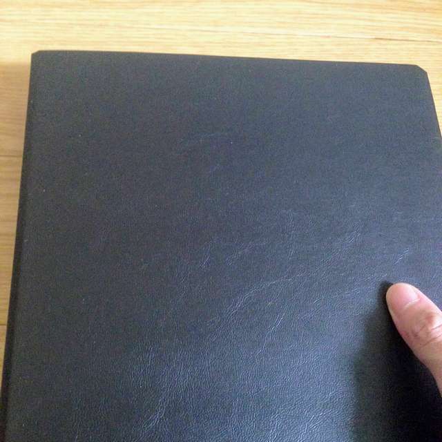 100均のリングファイル