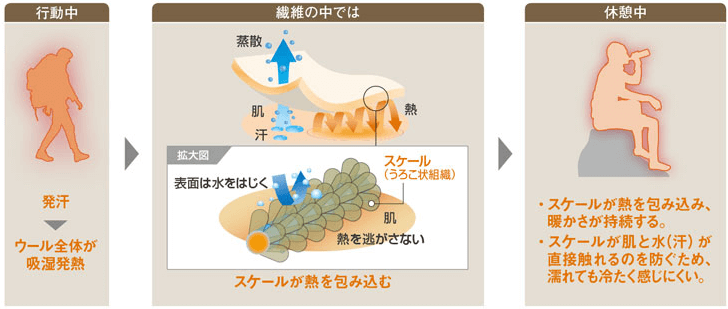 モンベルのメリノウールの特徴