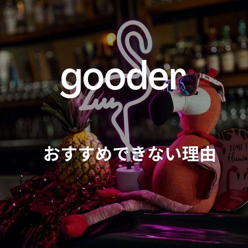 グダー(gooder)のサングラスがおすすめできない理由【実は偏光サングラスではない】 グダー(gooder)のサングラスがおすすめできない理由【実は偏光サングラスではない】