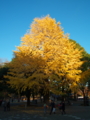20131130153343