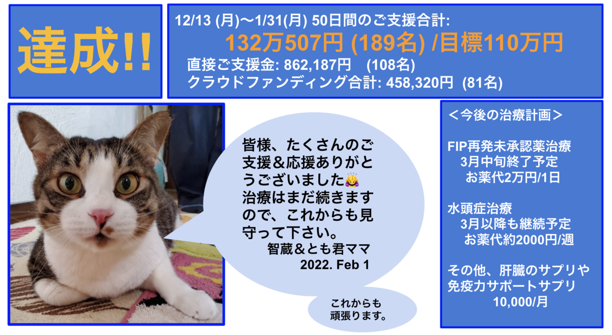 f:id:tomozou_fip:20220201124507p:plain
