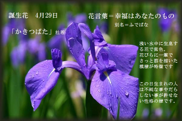 f:id:tomshannon:20190429091124j:plain f:id:tomshannon:20190429091124j:plain