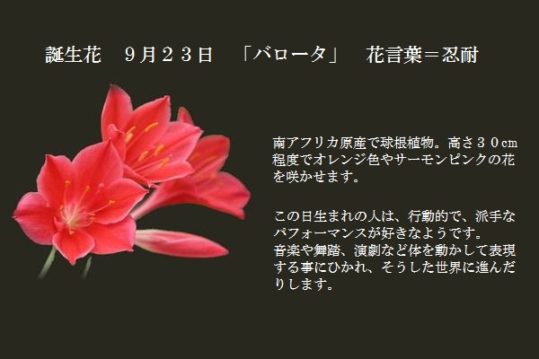 誕生花 ９月２３日 バロータ Tomshannon S Diary