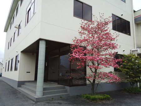 イメージ 1