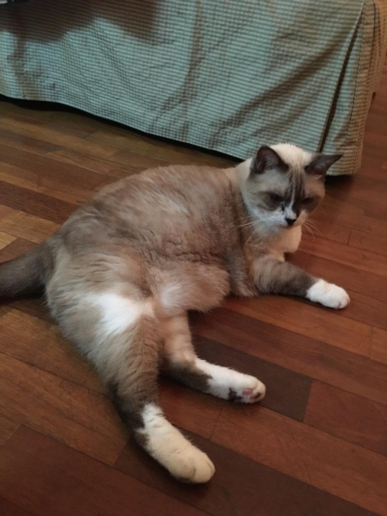 f:id:tomtojerry23:20170305231503j:plain
