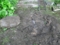 20100604052311