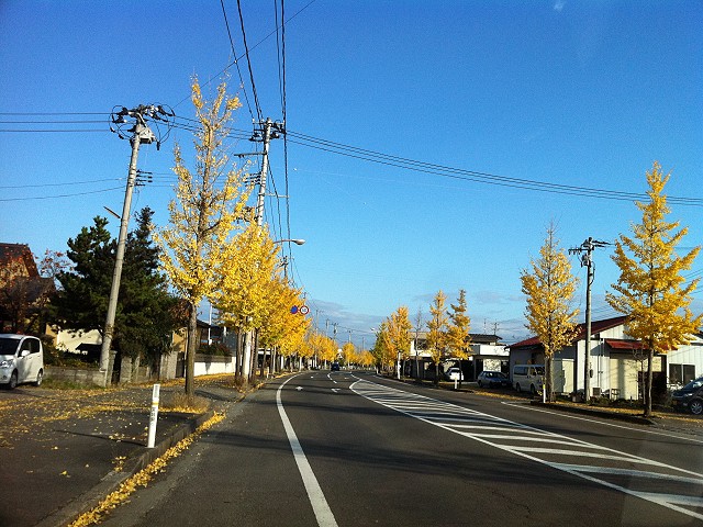 f:id:tomtom1ono:20111109080152j:image