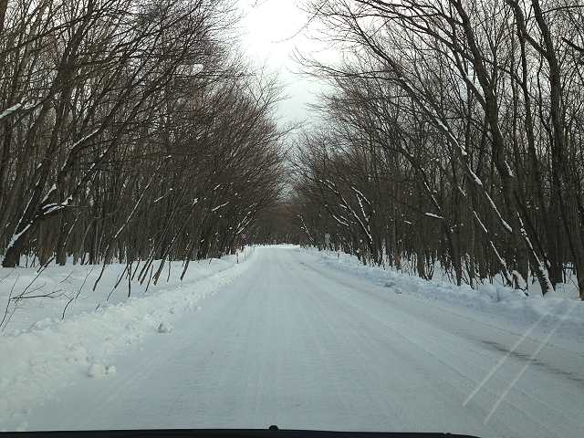 f:id:tomtom1ono:20130106144100j:image