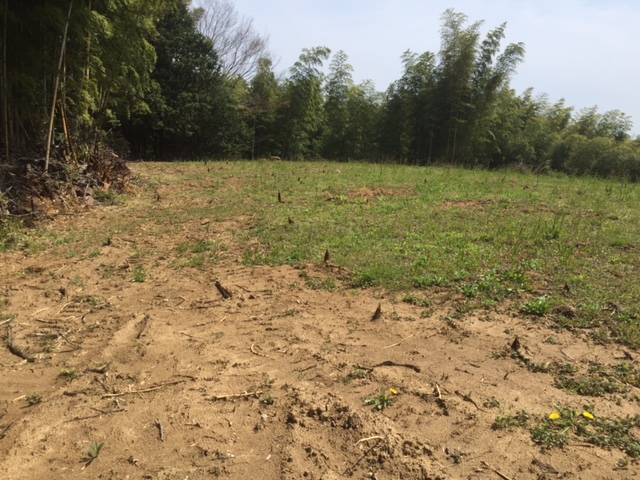 f:id:tomtom1ono:20160416110516j:image