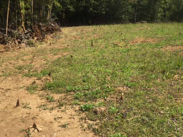 f:id:tomtom1ono:20160416110553j:image