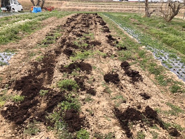 f:id:tomtom1ono:20170325110216j:image