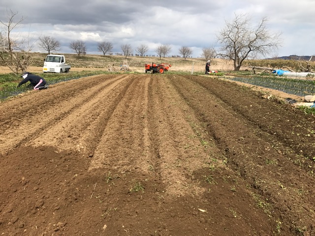 f:id:tomtom1ono:20170325121900j:image