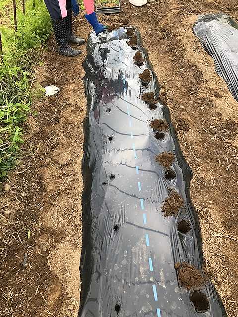 f:id:tomtom1ono:20170603141256j:image