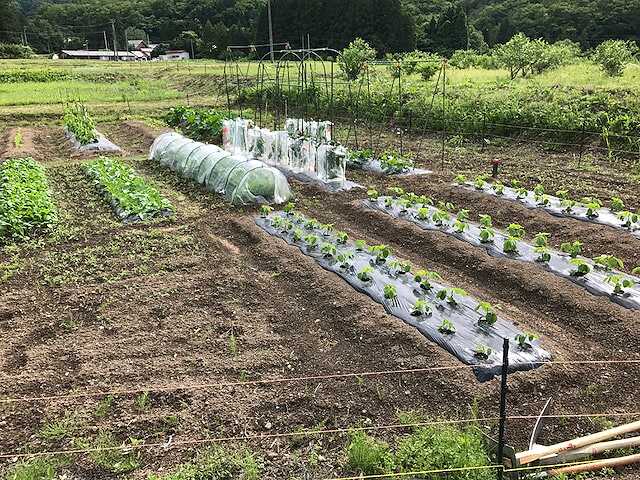 f:id:tomtom1ono:20170603152234j:image