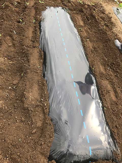 f:id:tomtom1ono:20170603153235j:image