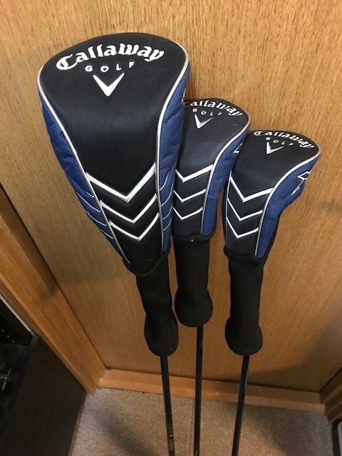 f:id:tomtom1ono:20170618182617j:image