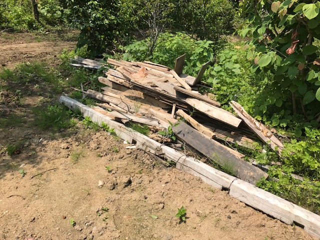 f:id:tomtom1ono:20170623101542j:image