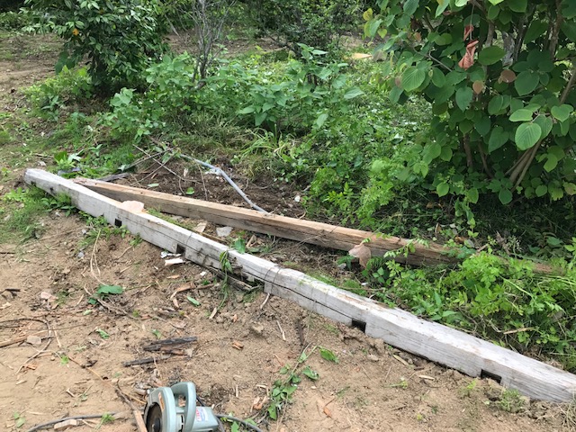 f:id:tomtom1ono:20170623154319j:image