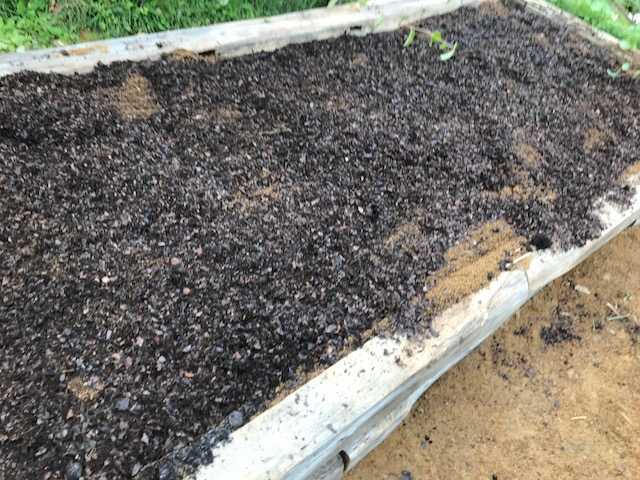 f:id:tomtom1ono:20171009140331j:image