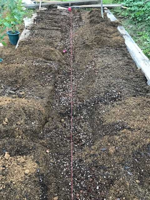 f:id:tomtom1ono:20171009145818j:image