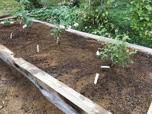 f:id:tomtom1ono:20171009150846j:image