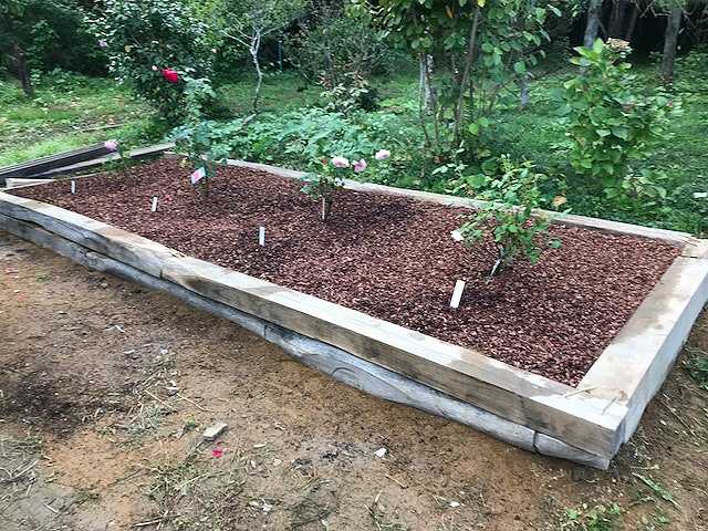 f:id:tomtom1ono:20171009154246j:image