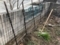 20180113150742