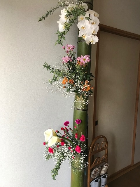 綺麗な花のその後 Tomのブログ