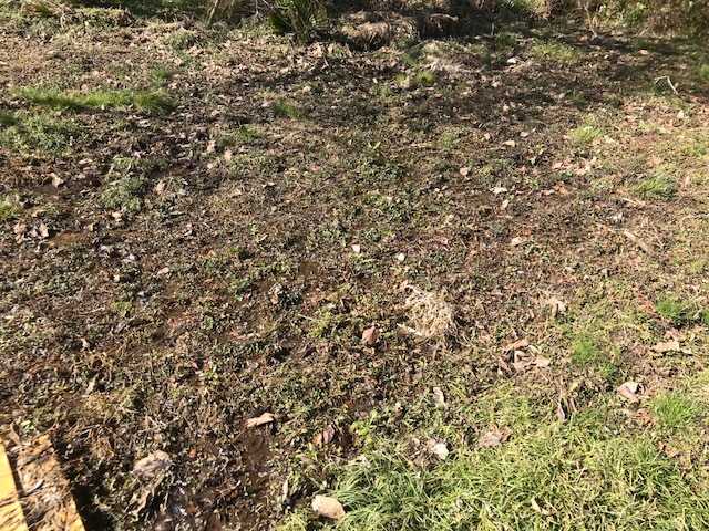 f:id:tomtom1ono:20180317092657j:image