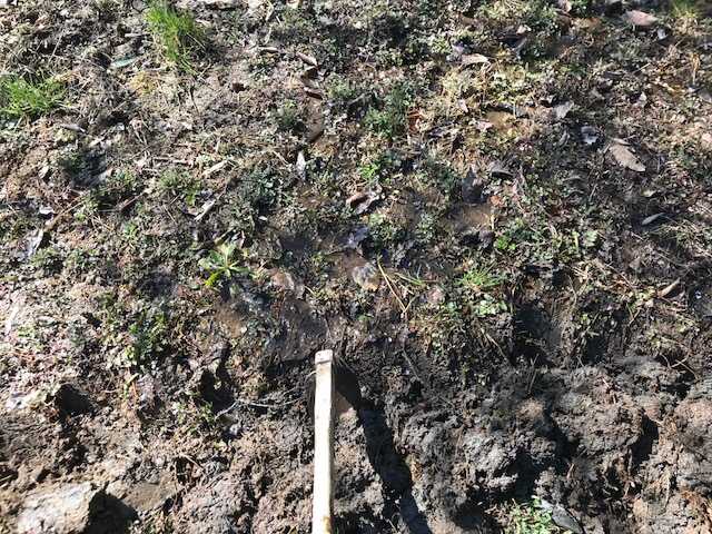 f:id:tomtom1ono:20180317100017j:image