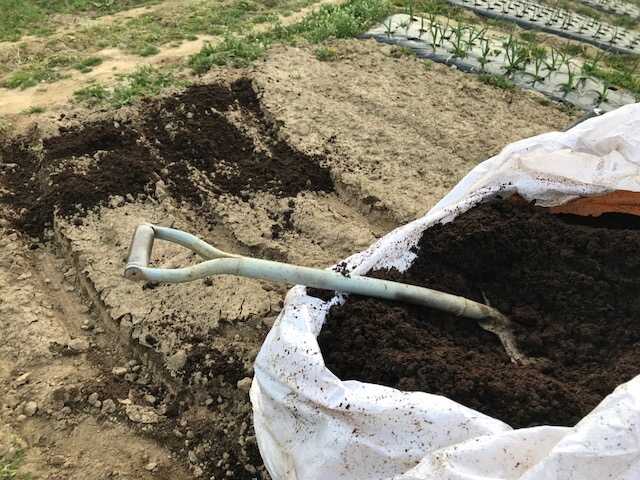 f:id:tomtom1ono:20180318165956j:image