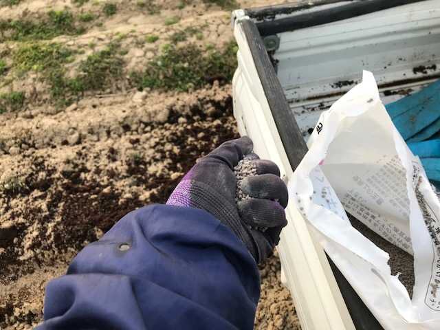 f:id:tomtom1ono:20180318172247j:image