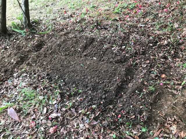 f:id:tomtom1ono:20180415152436j:image