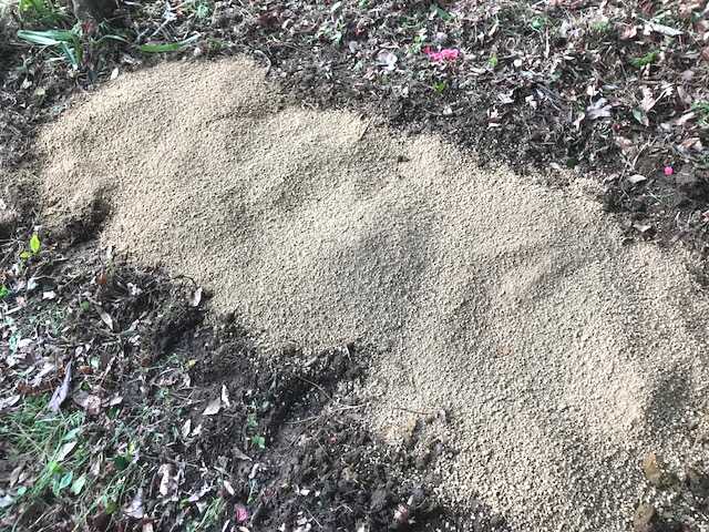 f:id:tomtom1ono:20180415153154j:image