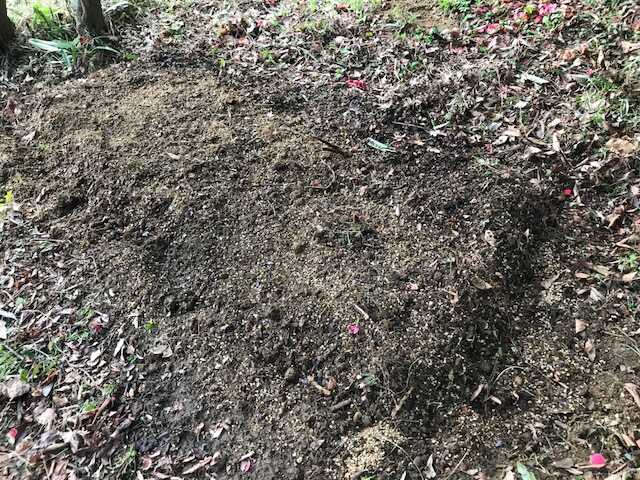 f:id:tomtom1ono:20180415153808j:image