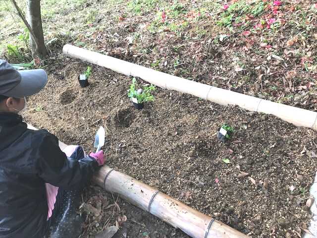 f:id:tomtom1ono:20180415154758j:image