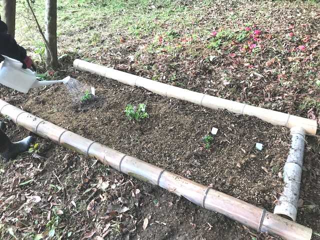 f:id:tomtom1ono:20180415154944j:image