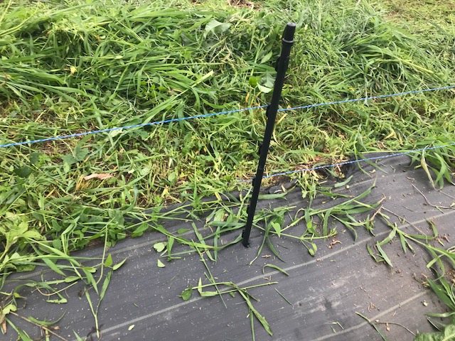 f:id:tomtom1ono:20180626060620j:image